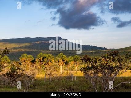 Le montagne piane di Tepui sono composte da pietra arenaria di quarzo precambriana. Tepequém, Stato di Roraima, Brasile. Foto Stock