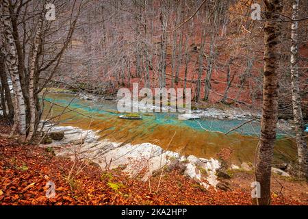 Bellissimo e colorato tratto del fiume Arazas nel Parco Nazionale di Ordesa y Monte Perdido nei Pirenei, Huesca, Spagna Foto Stock