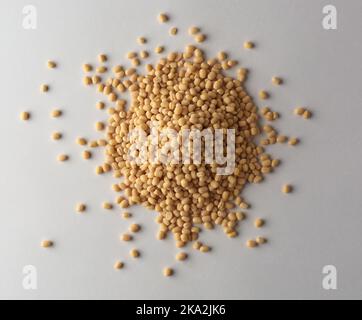 pila di urad bianco lucido organico dal isolato su fondo grigio neutro, vigna mungo, noto anche come ulundu paruppu, o fagiolo di urad o mash kalai Foto Stock
