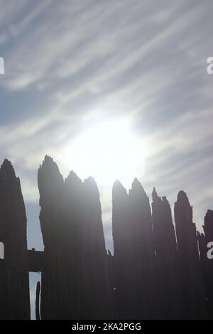 Il sole luminoso splende sulla vecchia recinzione di picket in legno. Foto Stock