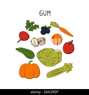 Cibo contenente gomma. Gruppi di prodotti sani contenenti vitamine e minerali. Set di frutta, verdura, carne, pesce e latticini. Illustrazione Vettoriale