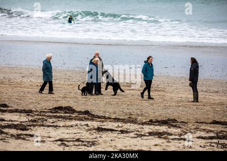 Portreath, Cornovaglia, 31st ottobre 2022, su Halloween a Portreath, Cornovaglia. I surfisti si sono divertiti a cavalcare le onde, mentre le famiglie hanno fatto una passeggiata lungo la spiaggia e hanno anche camminato per i loro cani. Le previsioni meteo sono per il 14C, docce a pioggia leggere e venti moderati per il resto della giornata.Credit: Keith Larby/Alamy Live News Foto Stock