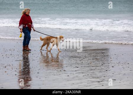 Portreath, Cornovaglia, 31st ottobre 2022, su Halloween a Portreath, Cornovaglia. I surfisti si sono divertiti a cavalcare le onde, mentre le famiglie hanno fatto una passeggiata lungo la spiaggia e hanno anche camminato per i loro cani. Le previsioni meteo sono per il 14C, docce a pioggia leggere e venti moderati per il resto della giornata.Credit: Keith Larby/Alamy Live News Foto Stock