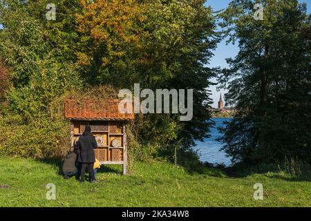 Herbstliche Stimmung im Apfelgarten des Plöner Schloßgartens, eine Familie bestaunt ein Insektenhotel Foto Stock