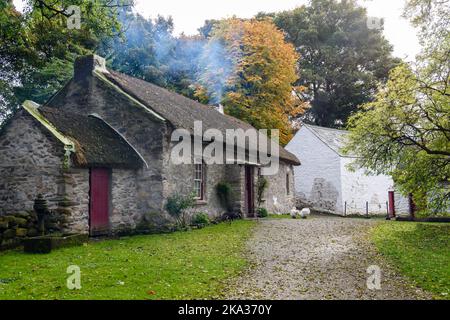 Piccolo, tre camere, irlandese cottage con tetto in paglia, comune tra i piccoli agricoltori agricoli nel 1800s 19th ° secolo Foto Stock