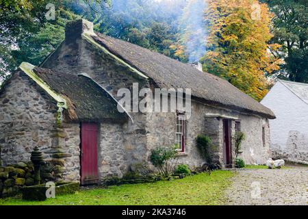 Piccolo, tre camere, irlandese cottage con tetto in paglia, comune tra i piccoli agricoltori agricoli nel 1800s 19th ° secolo Foto Stock