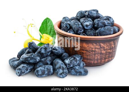 Bacche di miele fresche blu in ciotola di ceramica isolato su fondo bianco con profondità di campo completa Foto Stock