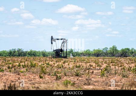 Sweetwater, Texas petrolio pumpjack su Oilfields degli Stati Uniti con macchina di metallo in campo marrone il giorno di sole estate con cielo blu e nessuno in paesaggio Foto Stock