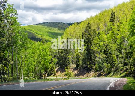 Santa Fe National Forest Park in Sangre de Cristo montagne con verde aspen fogliame alberi in primavera o estate da tortuoso strada svolta Foto Stock