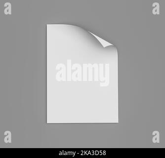 Rappresentazione 3D di un foglio di carta vuoto con un angolo curvo in formato A4 isolato su uno sfondo grigio Foto Stock