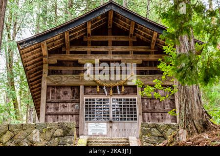 Takayama, Giappone - 6 aprile 2019: Santuario di legno shinto Takumi nella foresta in Takayama Hida no Sato vecchio villaggio folcloristico con pietra e muschio in Gifu prefectur Foto Stock