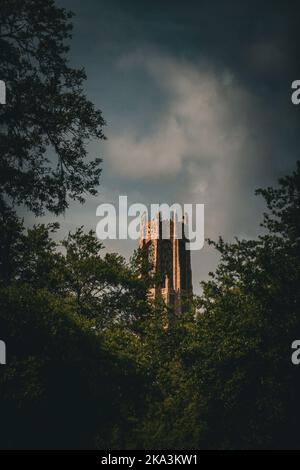 Un colpo verticale di un vecchio castello con torri torreggianti circondato da alberi Foto Stock