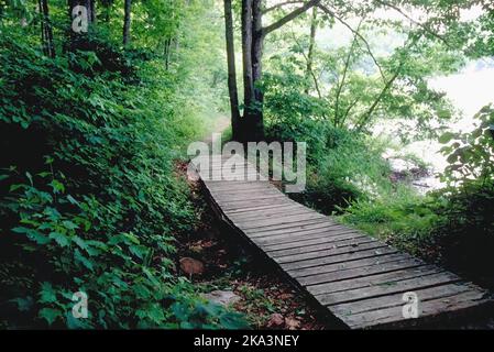 Un ponte pedonale in legno al lago Noblett nel Missouri collega due parti di un percorso attraverso i boschi nella foresta nazionale rurale di Ozarks Mark Twain. Foto Stock