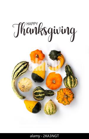 Carta felice del Ringraziamento, raccolta di zucche isolate su sfondo bianco Foto Stock