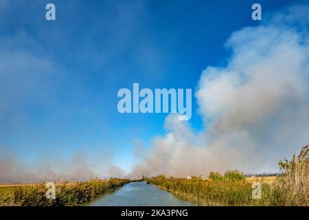 Combustione di paglia di riso stoppia in allevatori di riso in Albufera Valencia Spagna, inquinamento problema ambientale, nuvole di cielo scuro Foto Stock