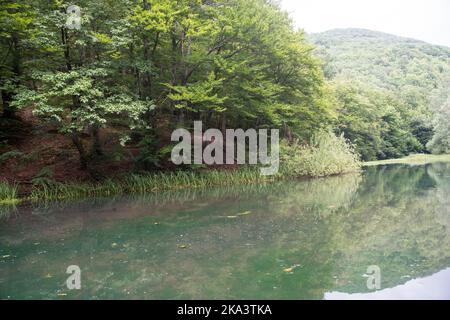 Un bellissimo lago Grza, fiume Grza in Serbia Foto Stock