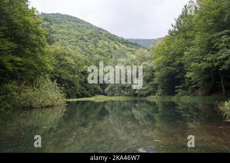 Un bellissimo lago Grza, fiume Grza in Serbia Foto Stock