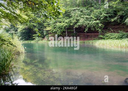 Un bellissimo lago Grza, fiume Grza in Serbia Foto Stock
