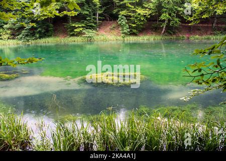 Un bellissimo lago Grza, fiume Grza in Serbia Foto Stock