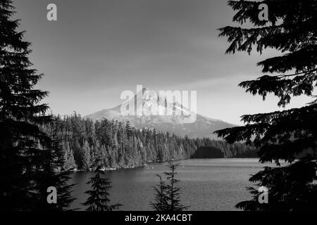 Ammira il monte Hood dalle rive del lago perduto, in una giornata soleggiata e calda. Foto Stock