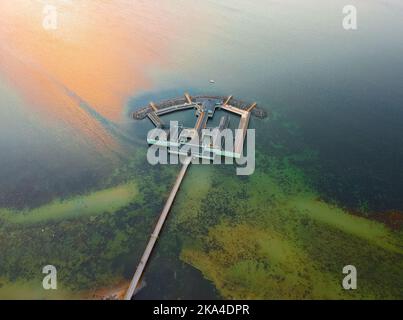 Un'immagine aerea del bagno all'aperto di Ribersborgs Kallbadhus nel mezzo dell'acqua di Malmo, Svezia Foto Stock