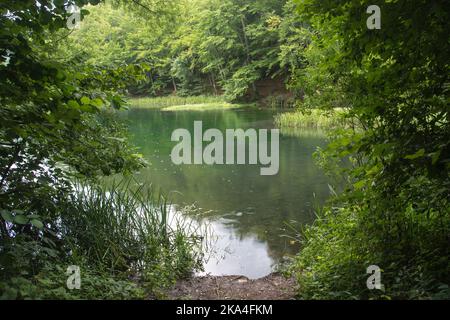 Un bellissimo lago Grza, fiume Grza in Serbia Foto Stock