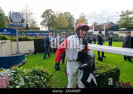 Ascot, Berkshire, Regno Unito. 29th ottobre 2022. Horse Thyme White guidato dal jockey Lorcan Williams vince il Byrne Group handicap Steeple Chase. Proprietario la Famiglia Steward e Michael Blencowe. Allenatore Paul Nicholls. Credito: Maureen McLean/Alamy Foto Stock