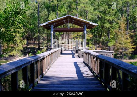 Si tratta di un ponte per escursioni a piedi sul lago presso il South Toledo Bend state Park di Anacoco, Louisiana. Foto Stock