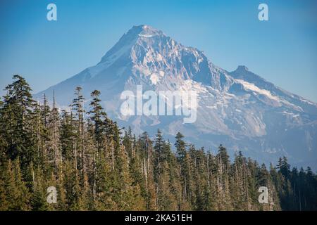 Ammira il monte Hood dalle rive del lago perduto, in una giornata soleggiata e calda. Foto Stock