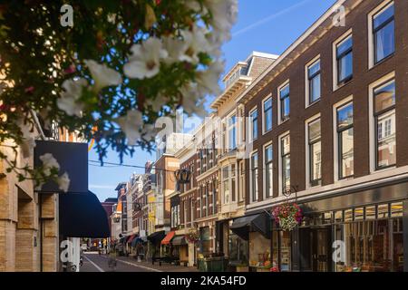 Strada nel centro storico l'Aia con vecchi edifici in estate Foto Stock