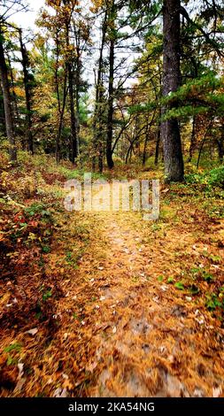 Una scena autunnale della Fort McCoy Pine View Recreation Area è mostrata il 14 ottobre 2022 a Fort McCoy, Wisconsin. L'area ricreativa comprende ettari di terreno accessibile al pubblico con sentieri per escursioni, Pine View Campground, Whitetail Ridge Ski Area e Sportsman's Range. La Pine View Recreation Area offre attività durante tutto l'anno, che includono campeggio, escursioni, pesca e molto altro. Ulteriori informazioni sull'area sono disponibili all'indirizzo https://mccoy.armymwr.com/categories/outdoor-recreation. Inoltre, nel 2022, Pine View Recreation Area ha celebrato 50 anni di utilizzo. (STATI UNITI Foto dell'esercito di Scott T. Sturkol, Public Affairs Office, Fort McCoy, W Foto Stock