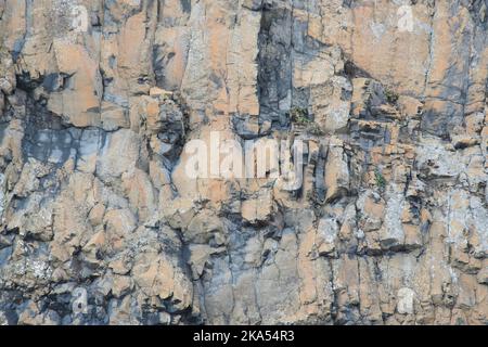 Primo piano sulla scogliera frastagliata, con la roccia esposta nella parete della scogliera. Foto Stock