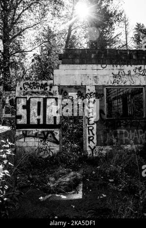 Edificio in discesa cresciuto con piante e ricoperto di vernice spray. Foto Stock