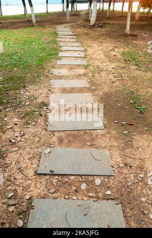 Passerelle, lastre di cemento allineate in prati, splendidi disegni, idee per la decorazione del giardino Foto Stock