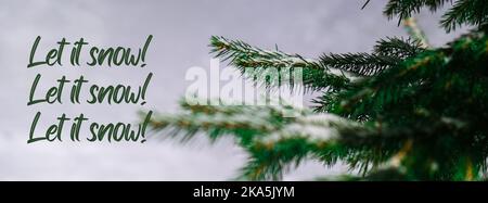 Lasciate che la neve ispirazione scherzo citazione frase Coniferous rami coperti di hoarfrost. Neve sfondo inverno. Pino abete Banner Foto Stock