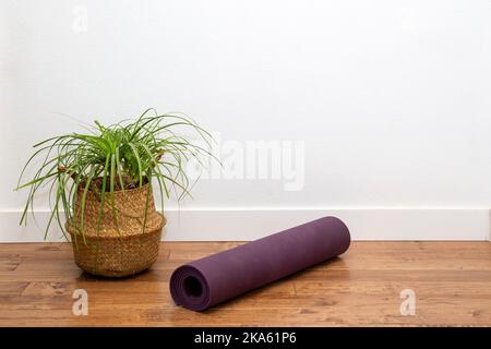 Ponytail pianta di palma con tappetino di yoga nella piantatrice a cestello contro la parete bianca Foto Stock