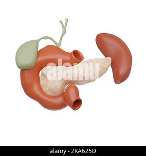 3D illustrazione di un pancreas Foto Stock