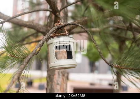 alimentatore fatto in casa una casa di legno per insetti e api su un albero nella foresta. I bambini si prendono cura della natura. Foto Stock