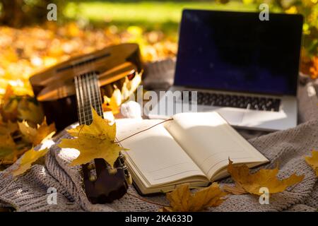 chitarra su foglie gialle e computer portatile Foto Stock