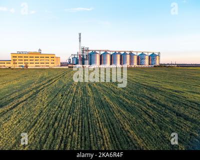 Elevatore granella. Elevatore della granella in metallo nella zona agricola. Agricoltura deposito per raccolto. Silos di grano su sfondo verde natura. Esterno di Foto Stock