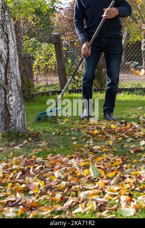 Giardino in autunno, foglie spazzate. Foto Stock