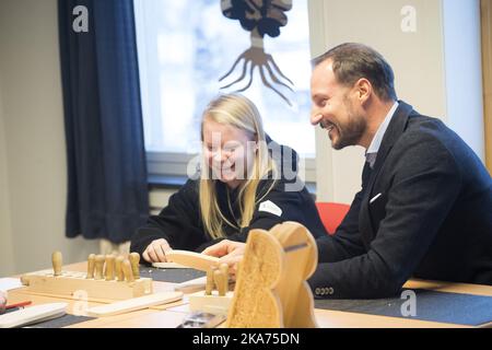 Gol, Norvegia 20190131. Il principe ereditario Haakon guarda il lavoro di scultura in legno di Rebecca Braaten Dreyer. Il principe ereditario apre UngInvest AIB a Gol Idrettsarena. UngInvest AIB è un programma di apprendimento basato sulla forza per oltre 200 giovani nella contea di Buskerud, con filiali a Drammen, Ringerike, Kongsberg e Modum. Il nuovo dipartimento di Gol sarà in grado di ospitare fino a 15 nuovi giovani. Foto: Terje Bendiksby / NTB scanpi Foto Stock