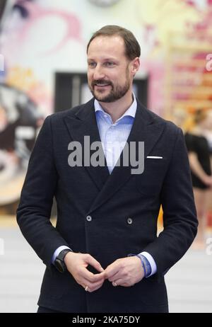 Gol, Norvegia 20190131. Crown Prince Haakon durante la sua visita all'arena sportiva Gol durante la sua visita. Foto: Terje Bendiksby / NTB scanpi Foto Stock