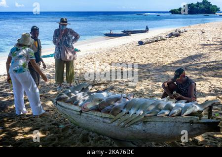 Gli abitanti locali espongono e vendono pescato di squali sulla spiaggia, sull'isola di Kiriwina, sulla provincia di Milne Bay, in Papua Nuova Guinea Foto Stock