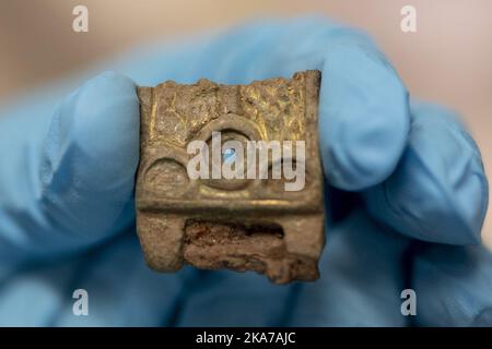 Oslo 20210716. Sta diventando sempre più popolare andare in una caccia al tesoro con un metal detector per i tesori archeologici. Il Museo di Storia Culturale dell'Università di Oslo riceve molti di questi reperti. Foto: Fredrik Hagen / NTB Foto Stock