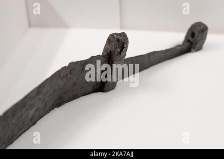 Oslo 20210716. Sta diventando sempre più popolare andare in una caccia al tesoro con un metal detector per i tesori archeologici. Il Museo di Storia Culturale dell'Università di Oslo riceve molti di questi reperti. Foto: Fredrik Hagen / NTB Foto Stock