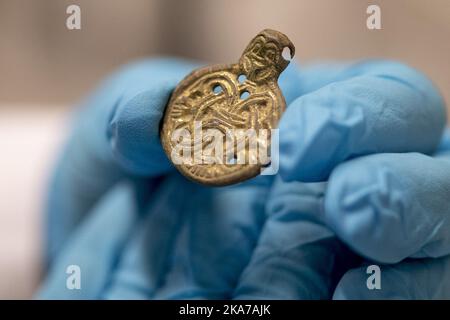 Oslo 20210716. Sta diventando sempre più popolare andare in una caccia al tesoro con un metal detector per i tesori archeologici. Il Museo di Storia Culturale dell'Università di Oslo riceve molti di questi reperti. Foto: Fredrik Hagen / NTB Foto Stock