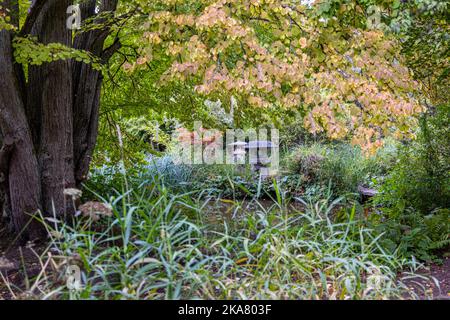 Japanese Garden, Newstead Abbey, Nottinghamshire, Inghilterra, Regno Unito Foto Stock