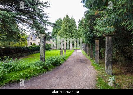 Colonne lungo il vialetto, Newstead Abbey, Nottinghamshire, Inghilterra, Regno Unito Foto Stock