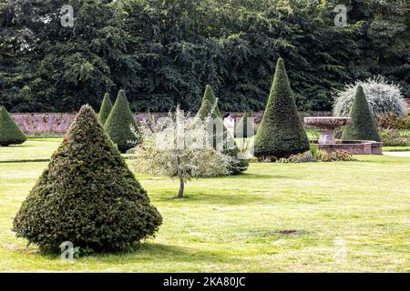 Rose Garden, Newstead Abbey, Nottinghamshire, Inghilterra, Regno Unito Foto Stock